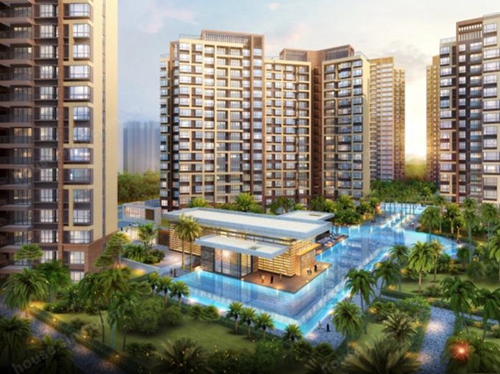 横琴荔枝湾具体地址